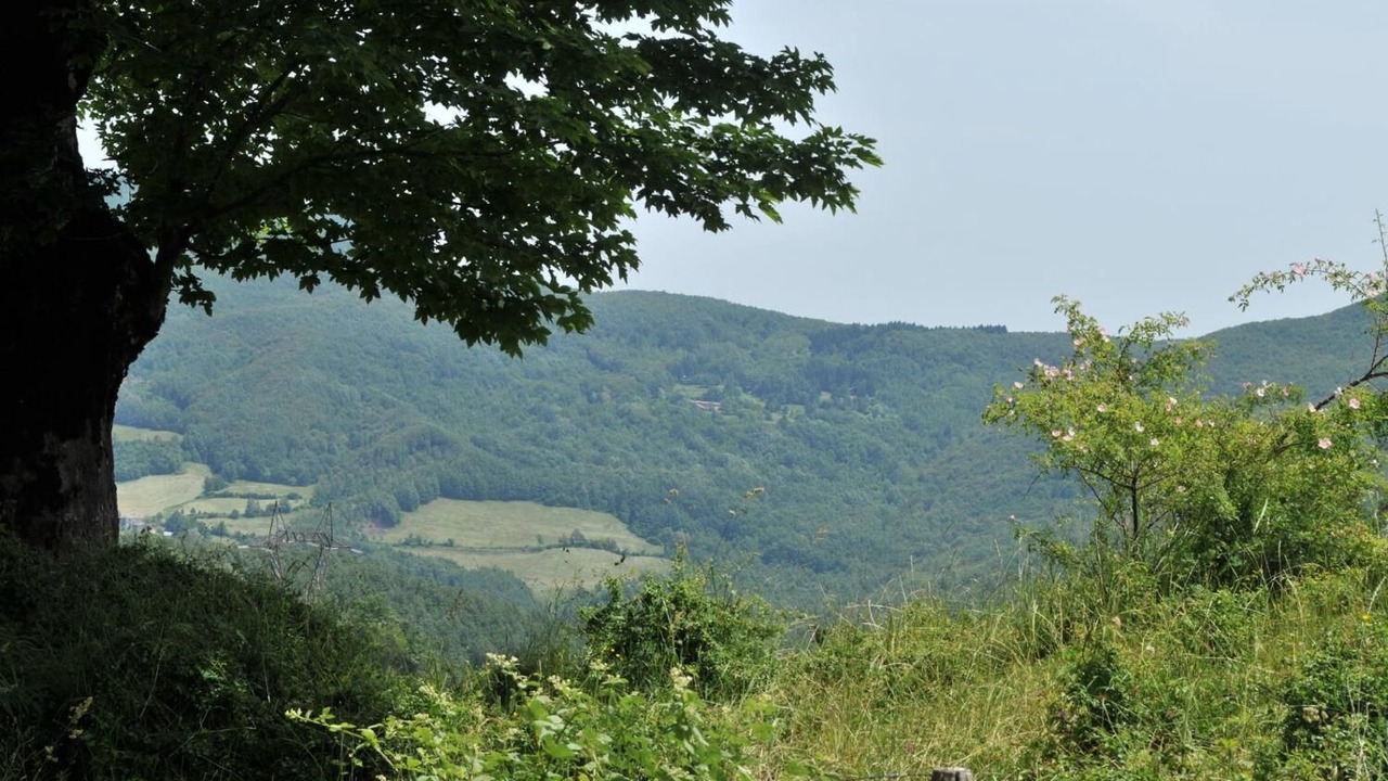 Photo of Outdoor in Madonna Dei Fornelli