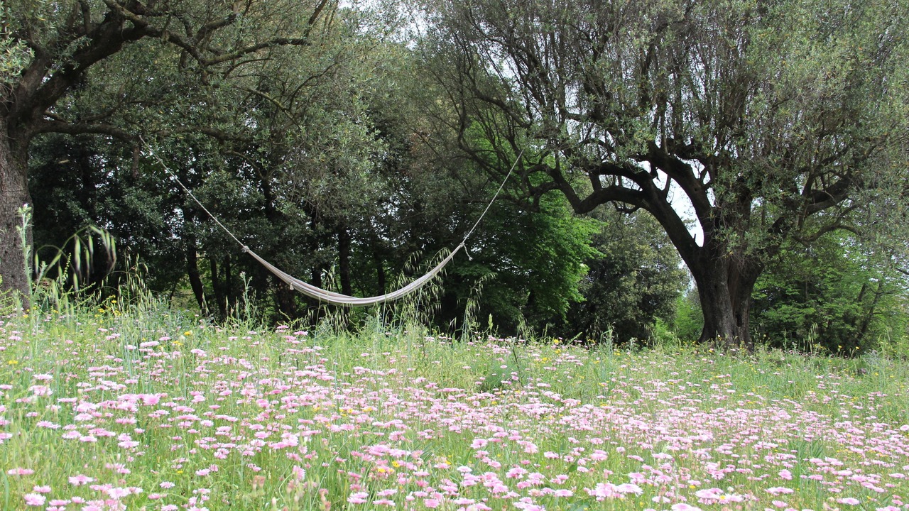 Photo of Outdoor in San Giovanni a Piro