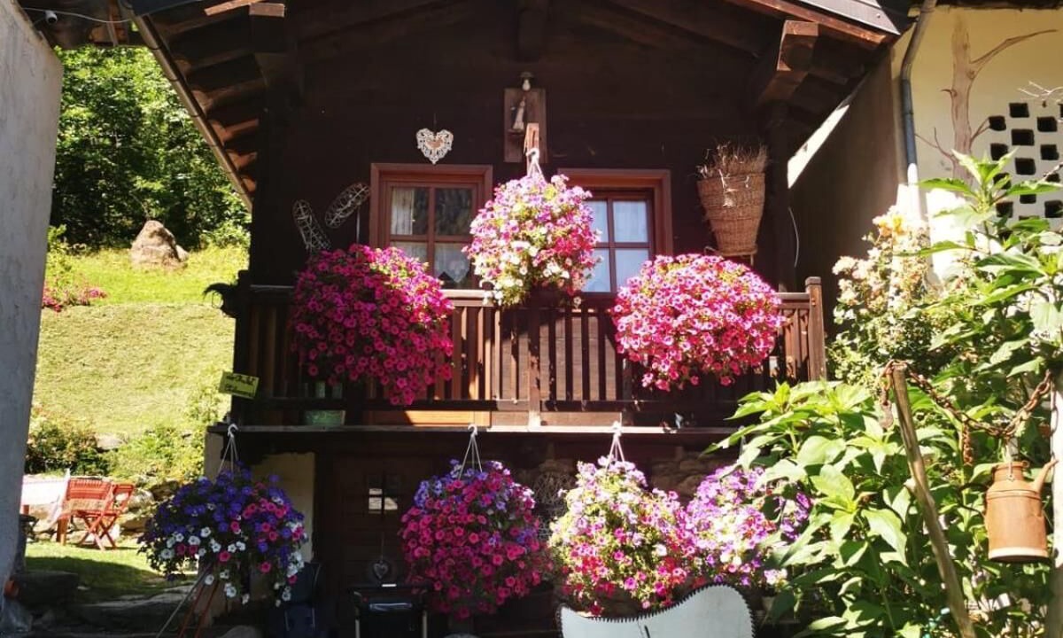 Photo of Outdoor in Valtournenche