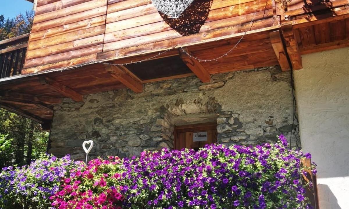 Photo of Outdoor in Valtournenche
