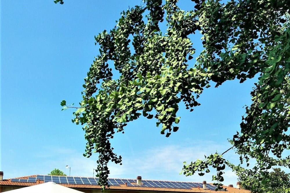 Photo of Outdoor in Misano di Gera d'Adda