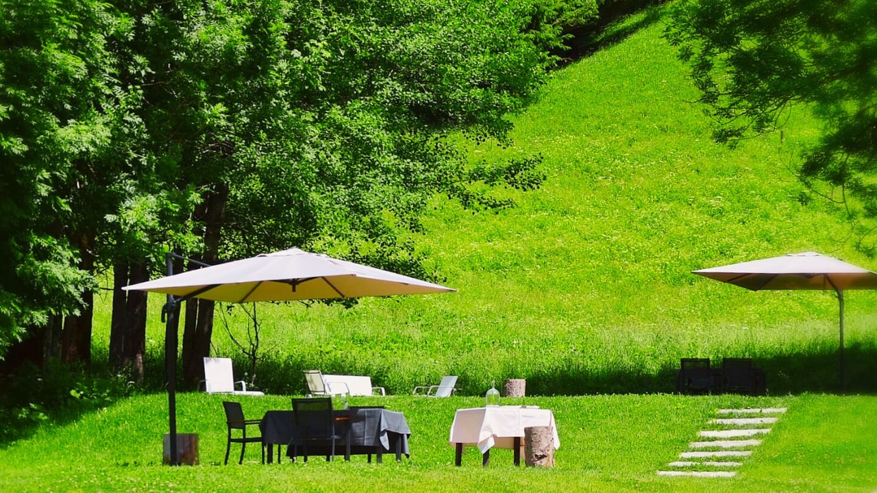 Photo of Outdoor in Pescul
