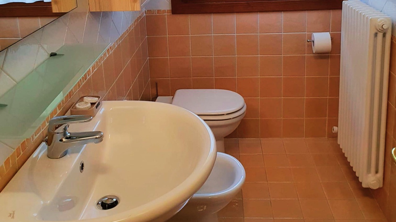 Photo of Bathroom in Pescul