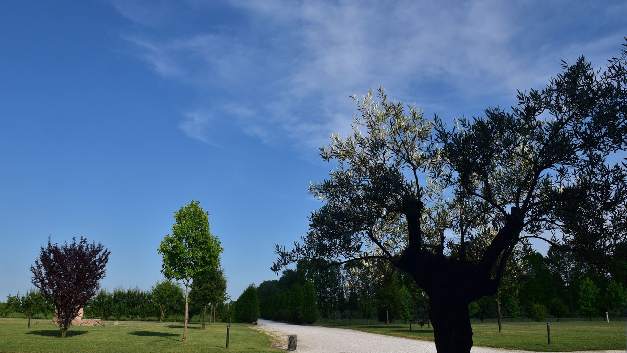 Photo of Outdoor in Castelrotto