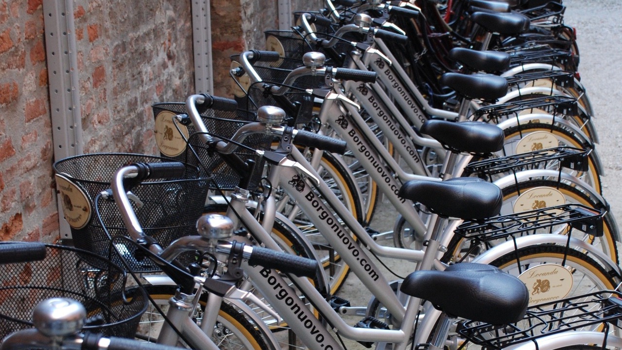 Photo of Outdoor in Ferrara Historic Centre