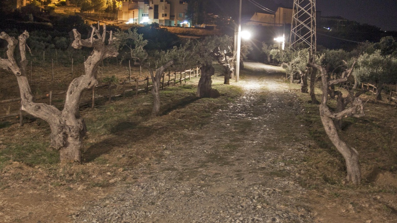 Photo of Outdoor in San Demetrio Corone