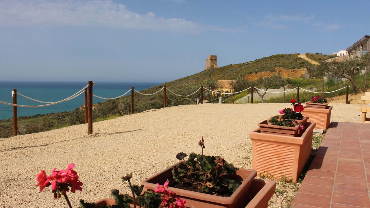 Photo of Outdoor in Pergole