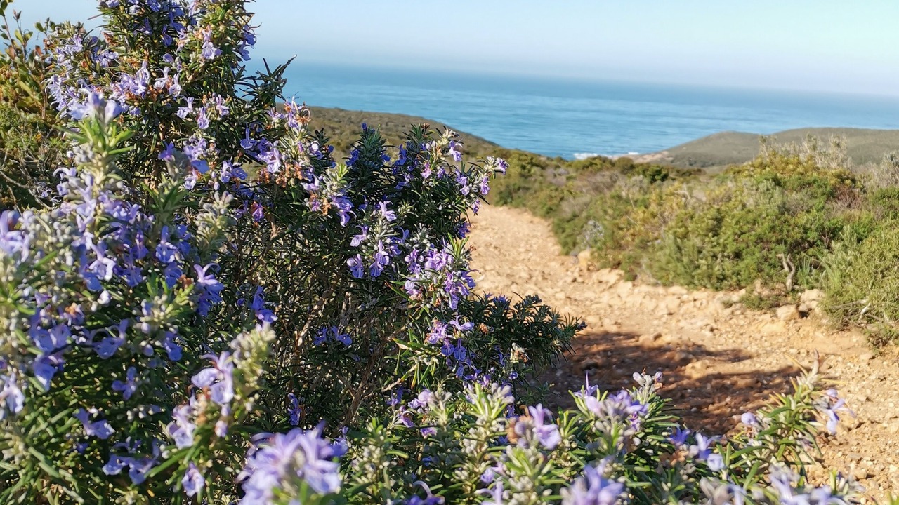 Photo of Outdoor in Guspini