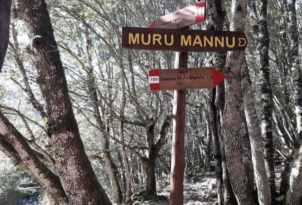 Photo of Others in Guspini