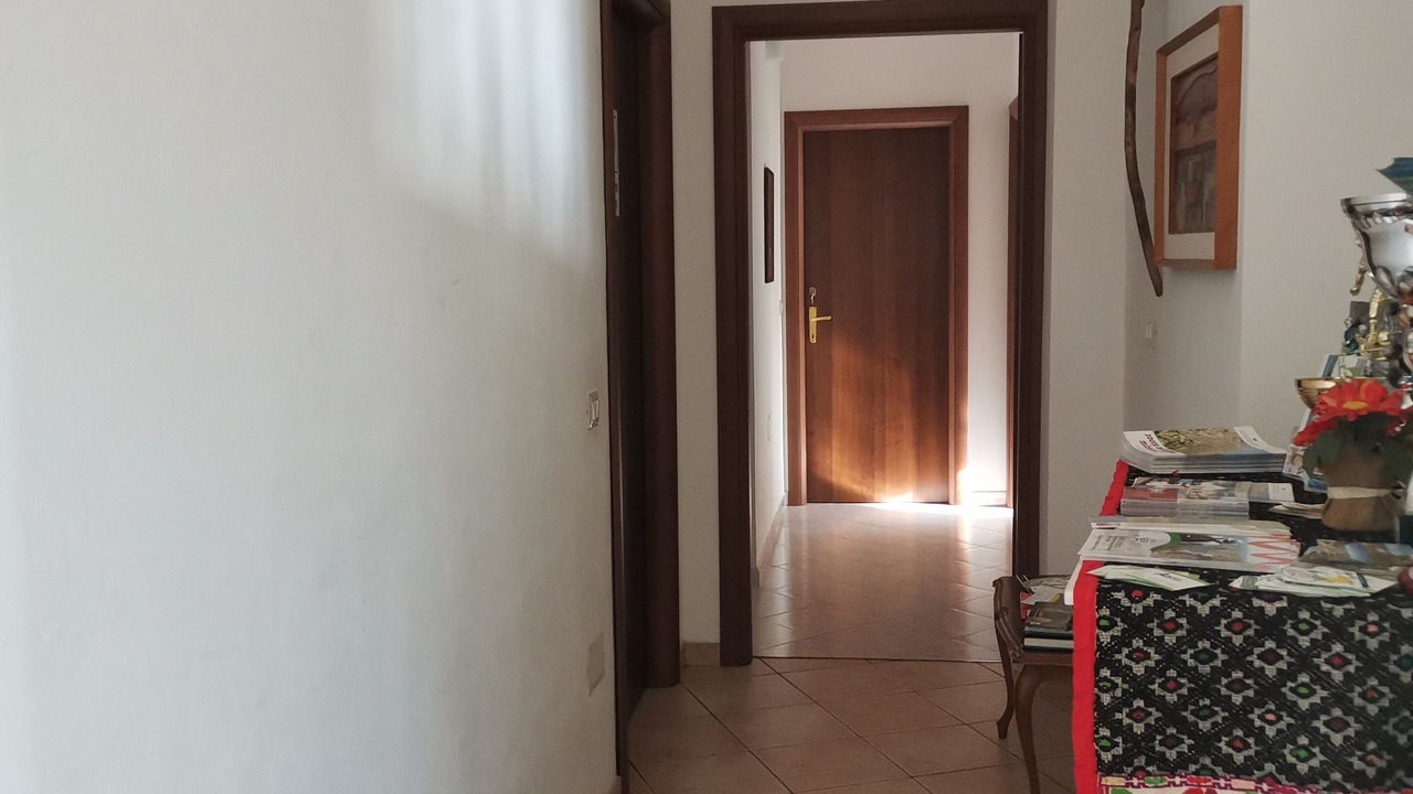 Photo of Others in Guspini