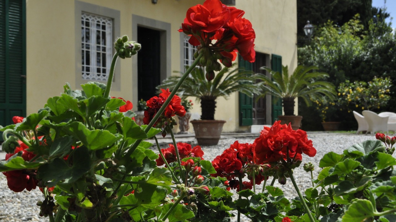 Photo of Outdoor in San Michele di Moriano