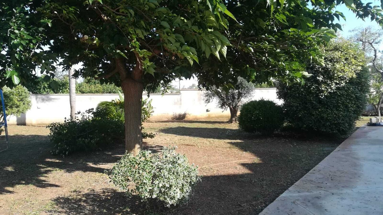 Photo of Outdoor in Galatina