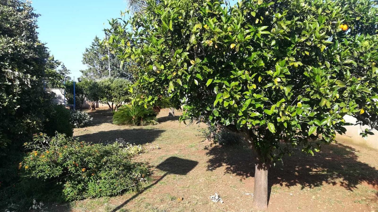 Photo of Outdoor in Galatina