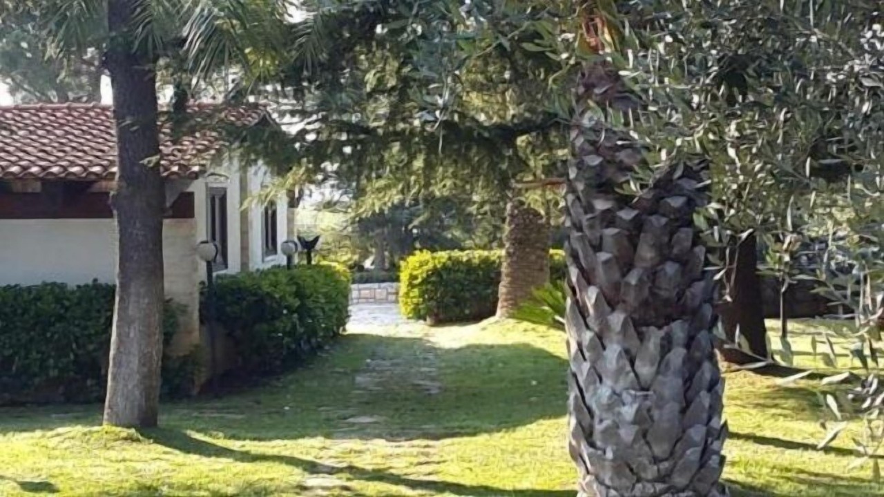 Photo of Outdoor in Alcanterini