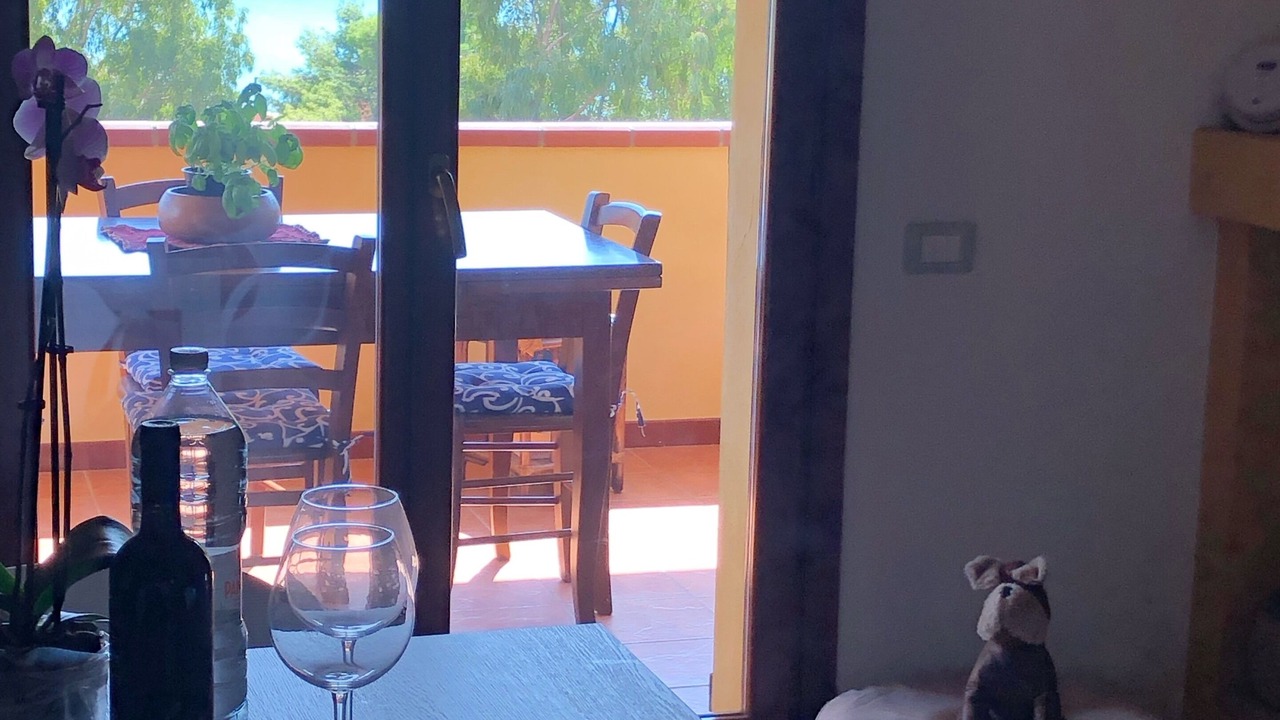 Photo of Others in Solanas