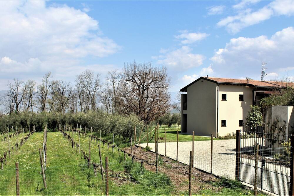 Photo of Others in Torbiato di Adro