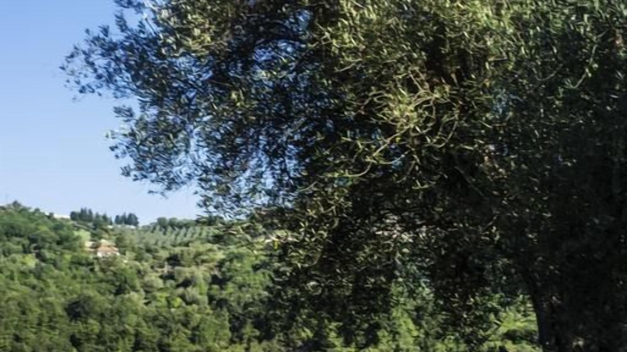 Photo of Outdoor in Santa Marina