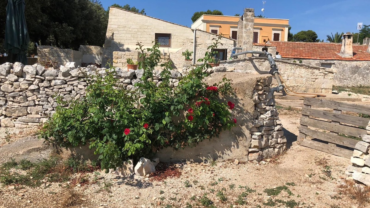 Photo of Outdoor in Andria