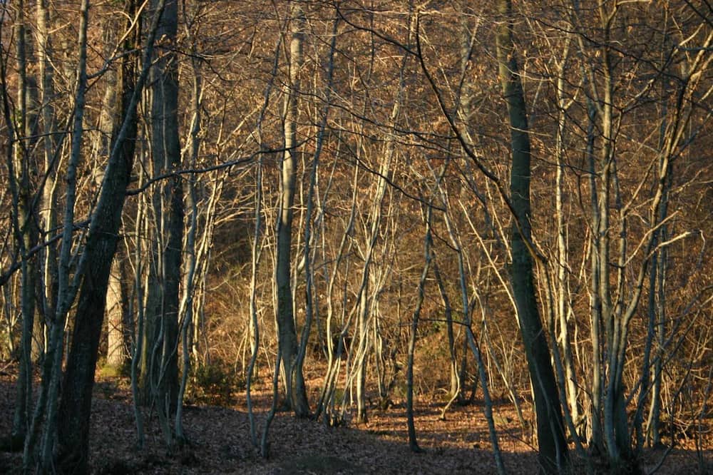 Photo of Outdoor in San Lorenzo Nuovo