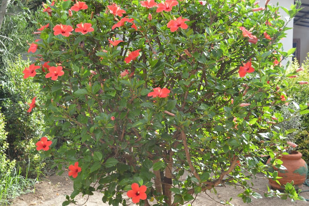Photo of Outdoor in Contrada Pantano d'Arci