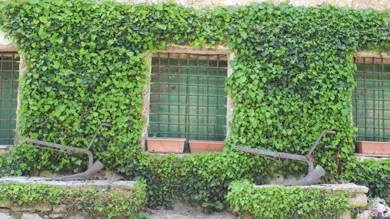 Photo of Outdoor in Prizzi