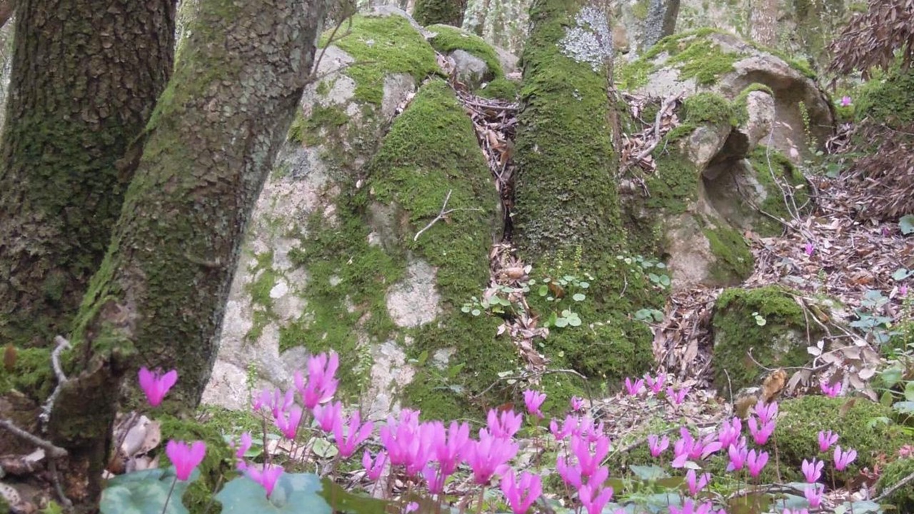 Photo of Outdoor in Nuoro