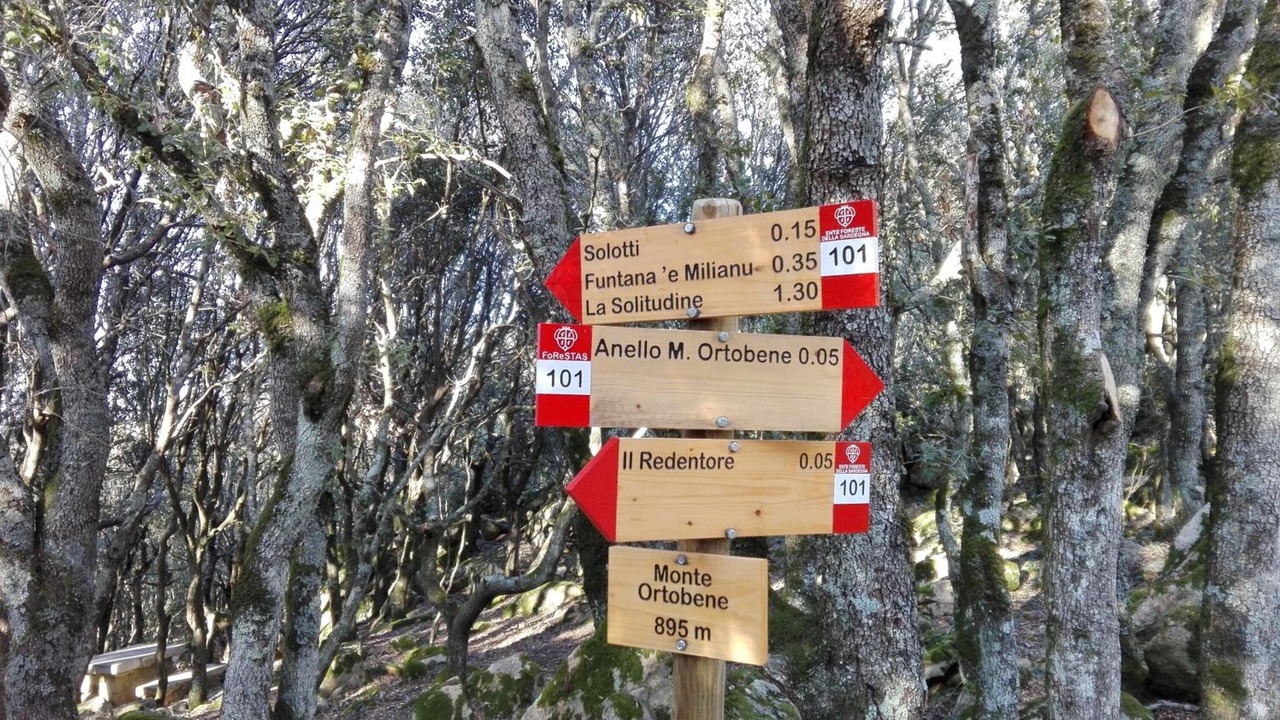 Photo of Outdoor in Nuoro
