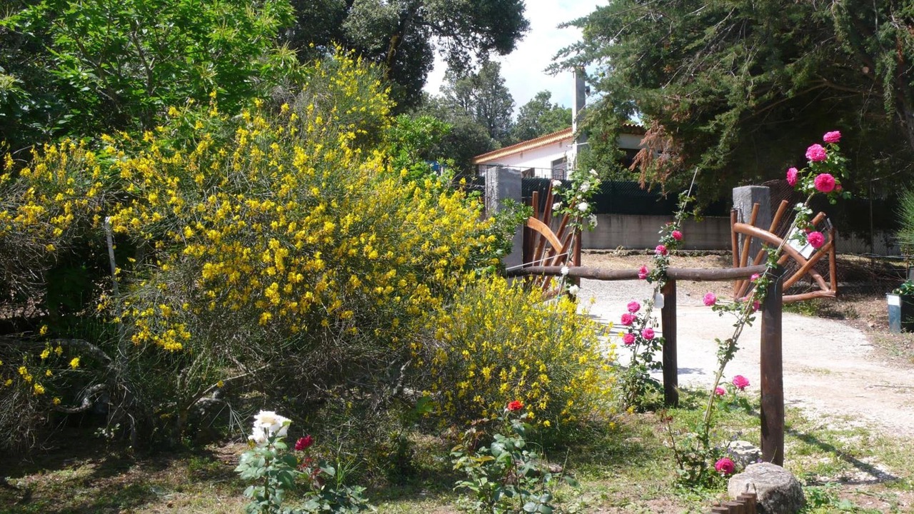 Photo of Outdoor in Nuoro
