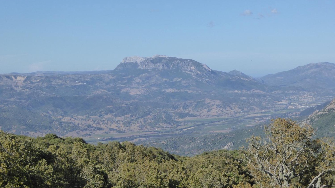 Photo of Outdoor in Nuoro