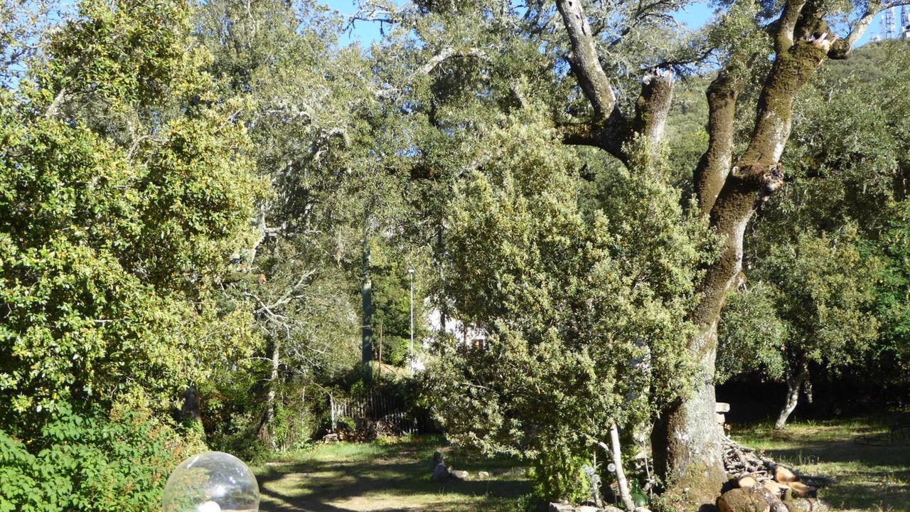 Photo of Outdoor in Nuoro