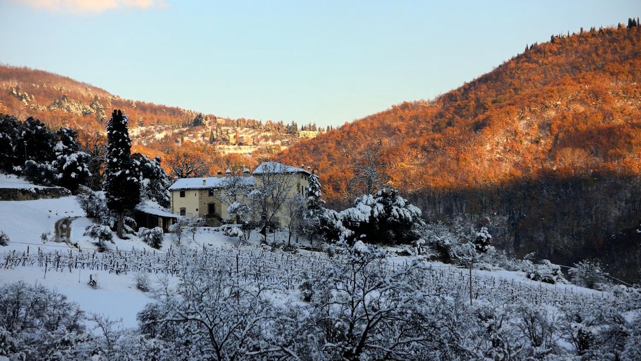 Photo of Outdoor in Pontassieve