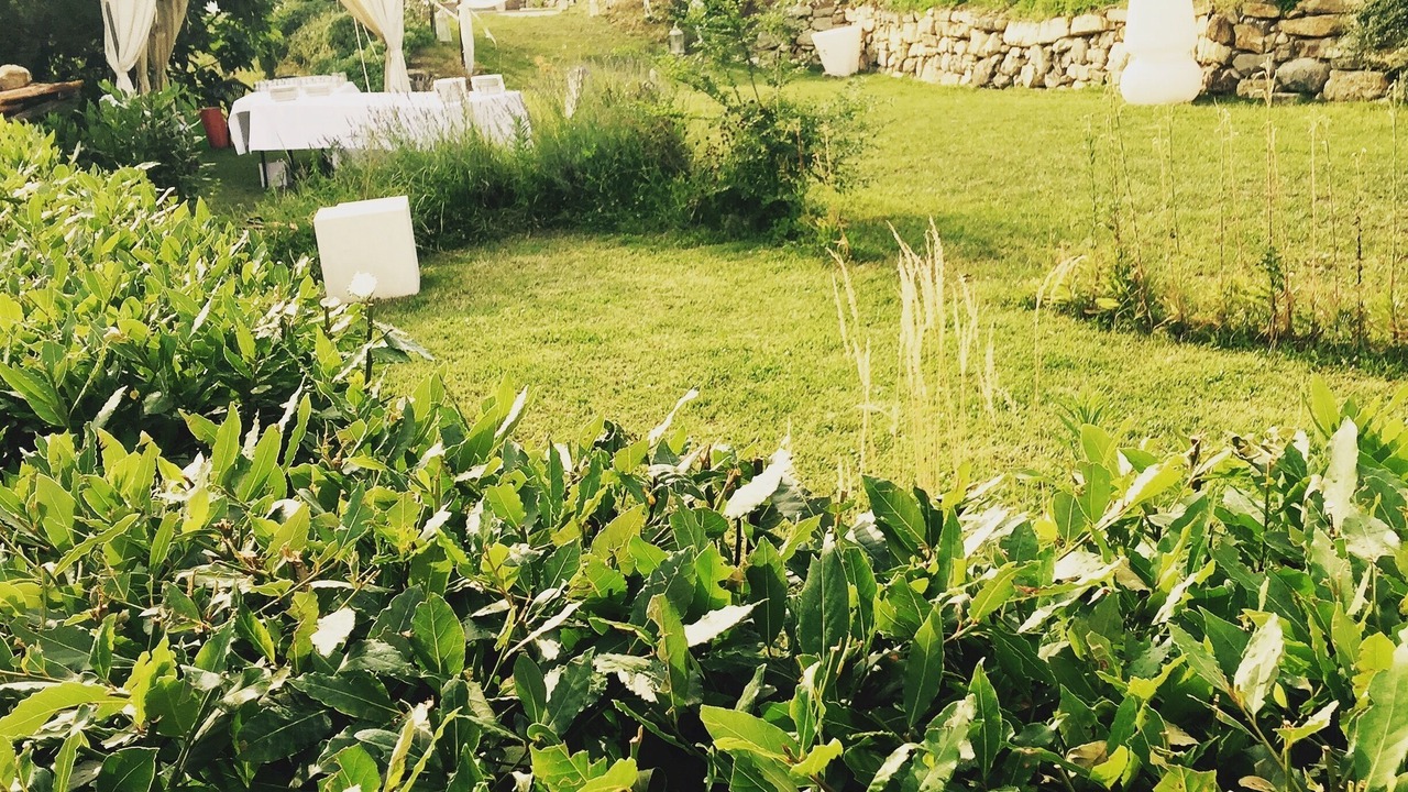 Photo of Outdoor in Pontassieve