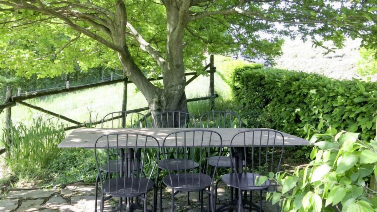 Photo of Outdoor in Bene Vagienna