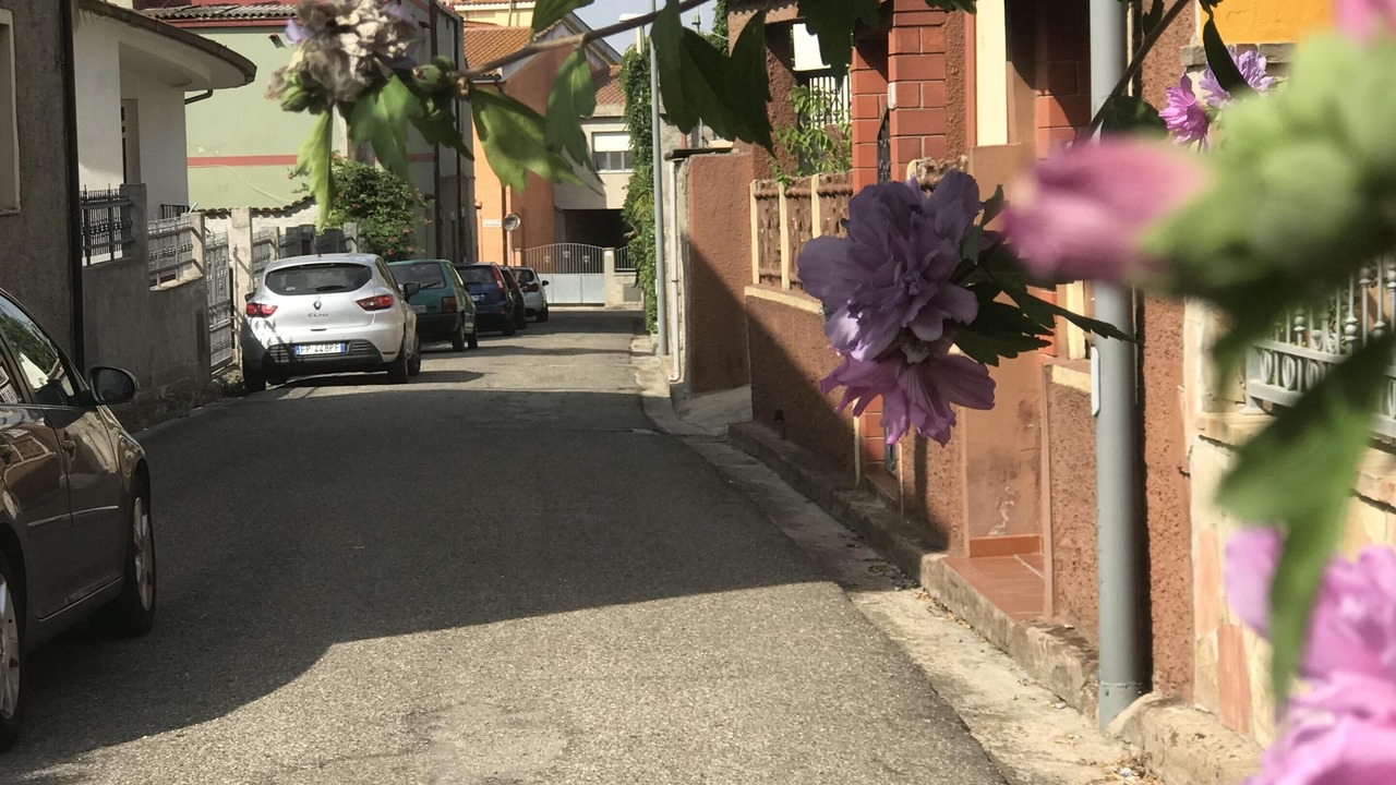 Photo of Outdoor in Donori