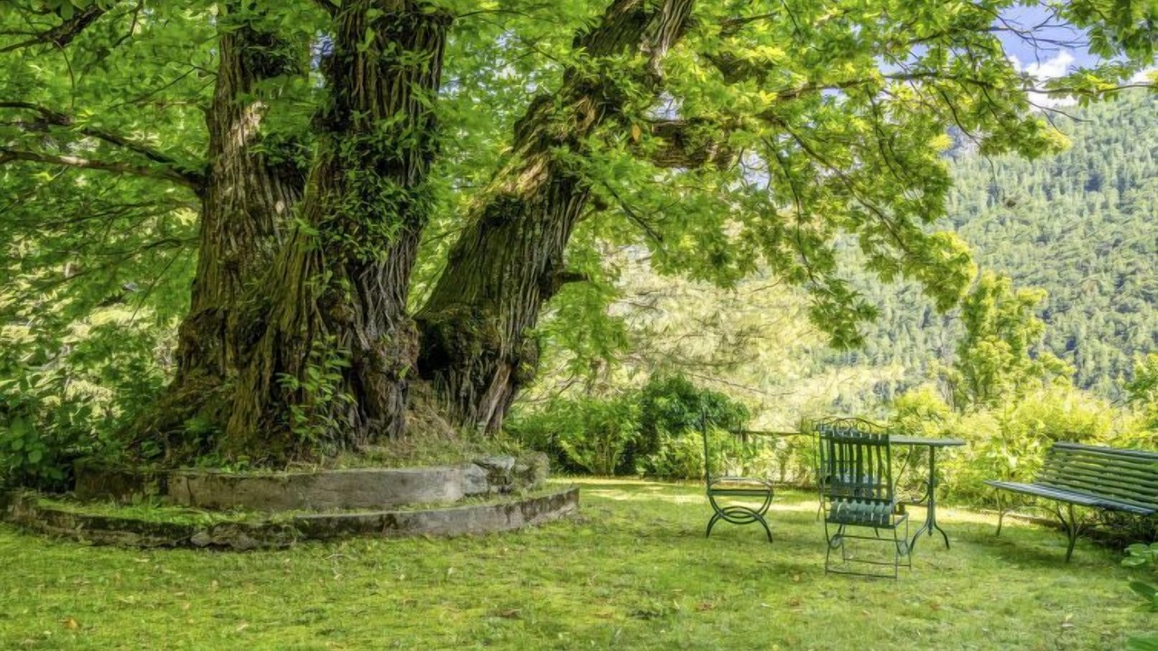 Photo of Outdoor in Ala di Stura