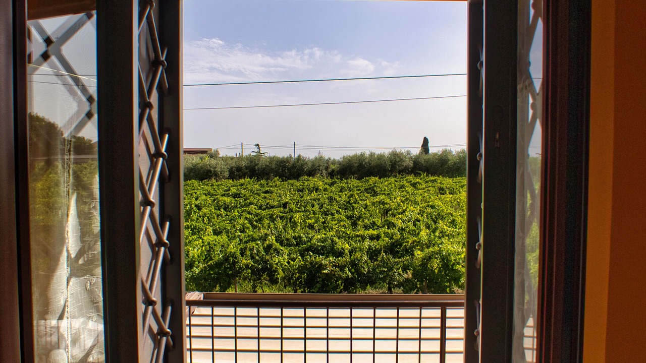 Photo of Bedroom in Casalaccio