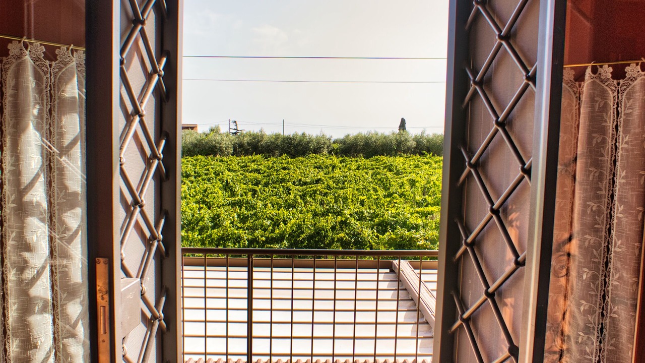 Photo of Patio Balcony in Casalaccio