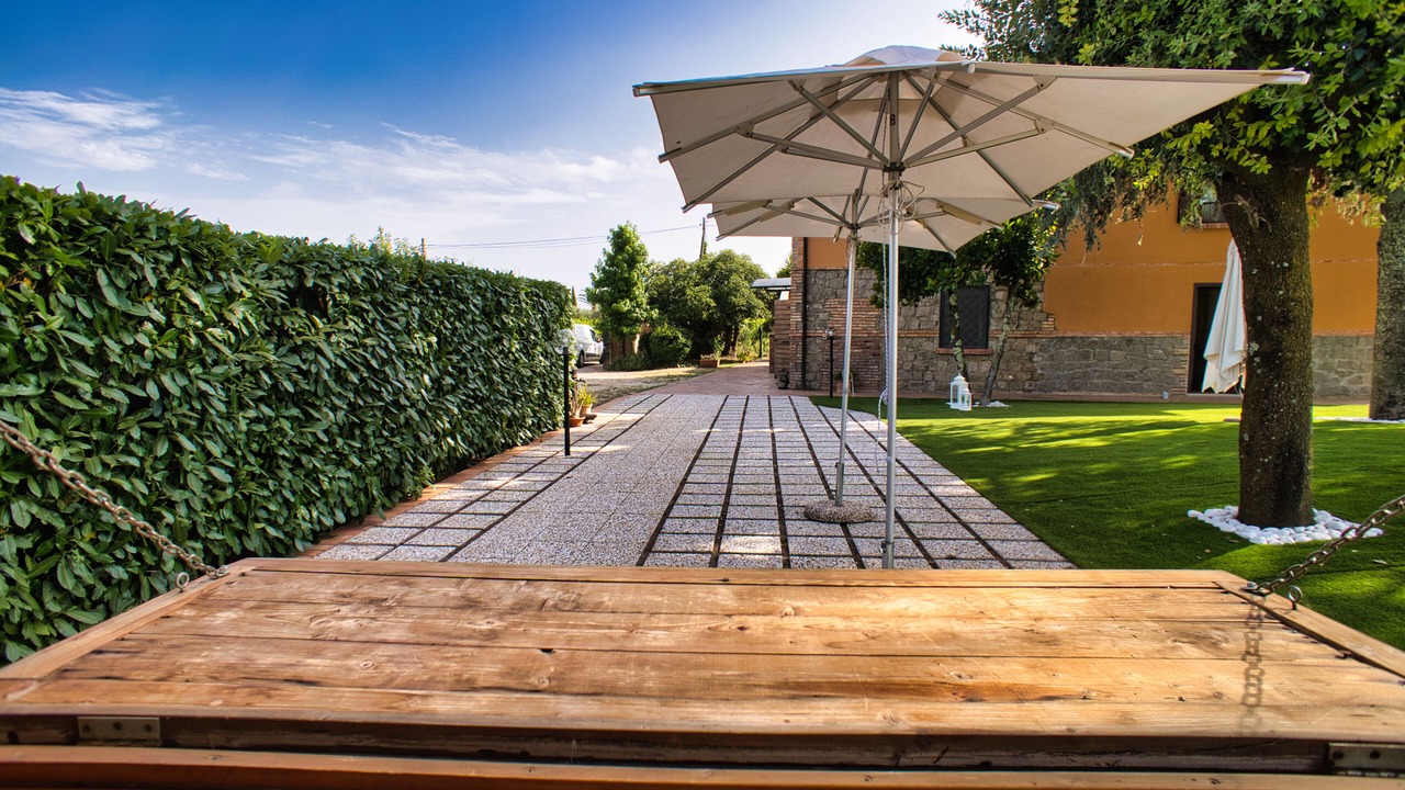 Photo of Outdoor in Casalaccio