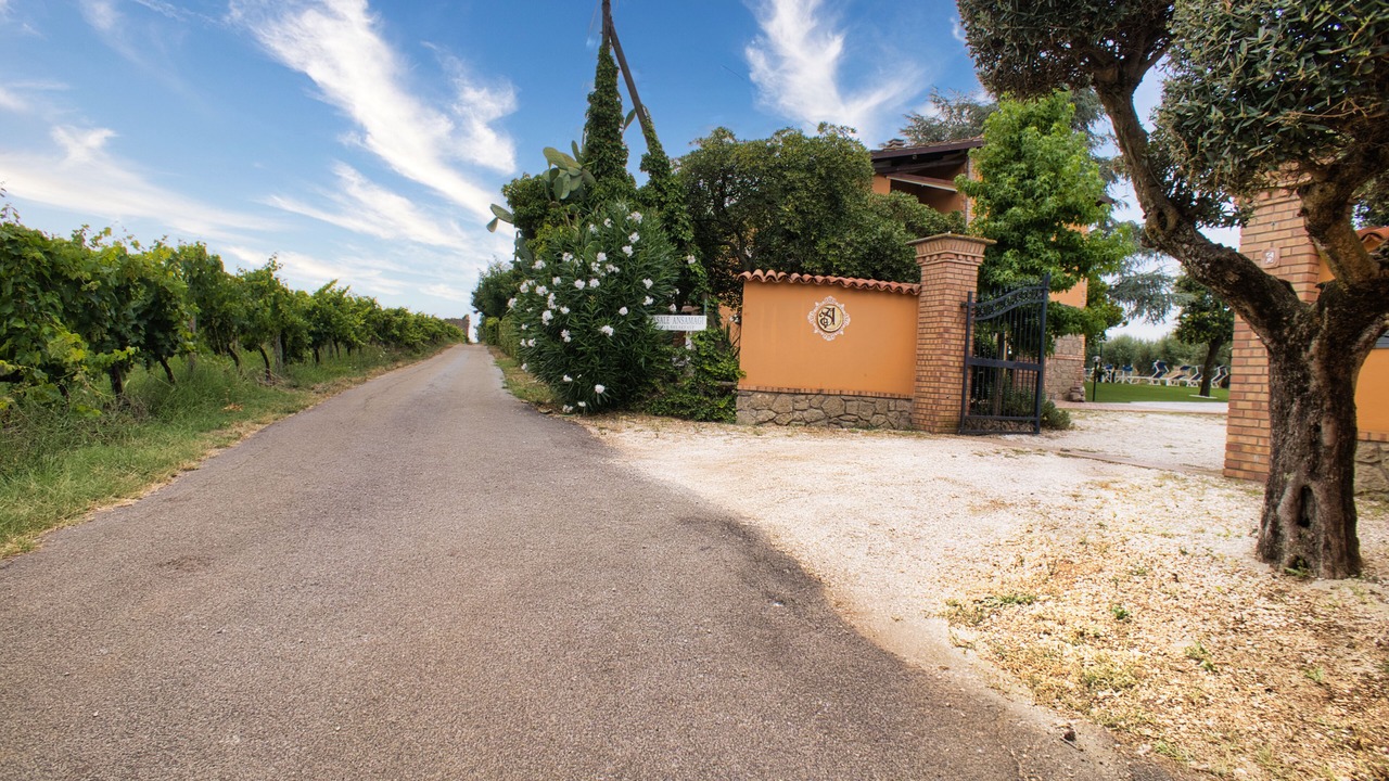Photo of Outdoor in Casalaccio
