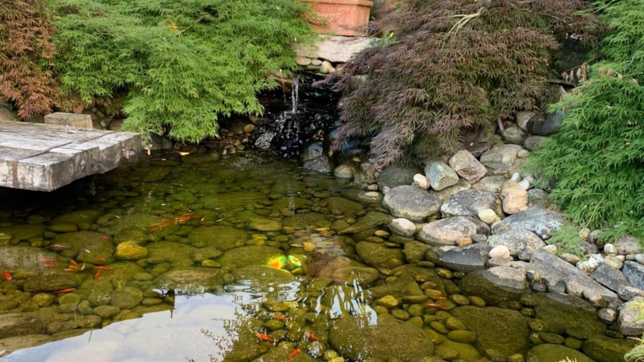Photo of Outdoor in Pomeo