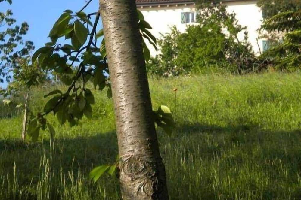 Photo of Outdoor in Cuccaro Monferrato