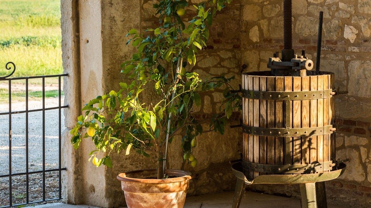 Photo of Patio Balcony in Longare
