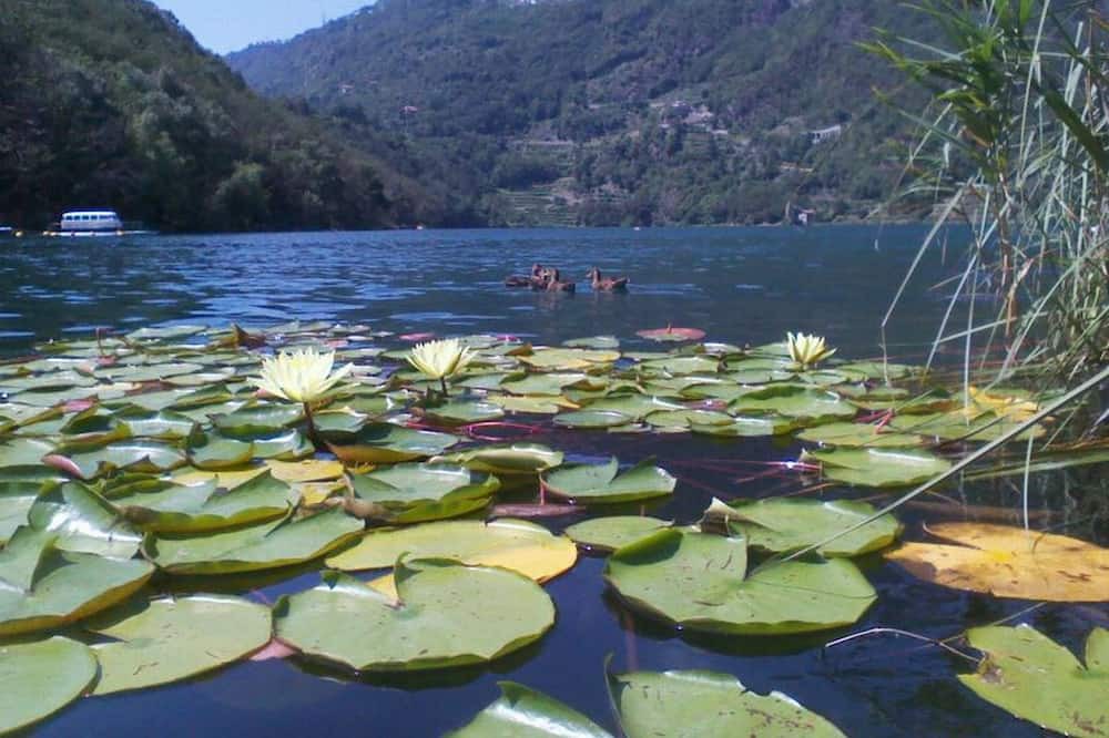 Photo of Outdoor in Zorzino