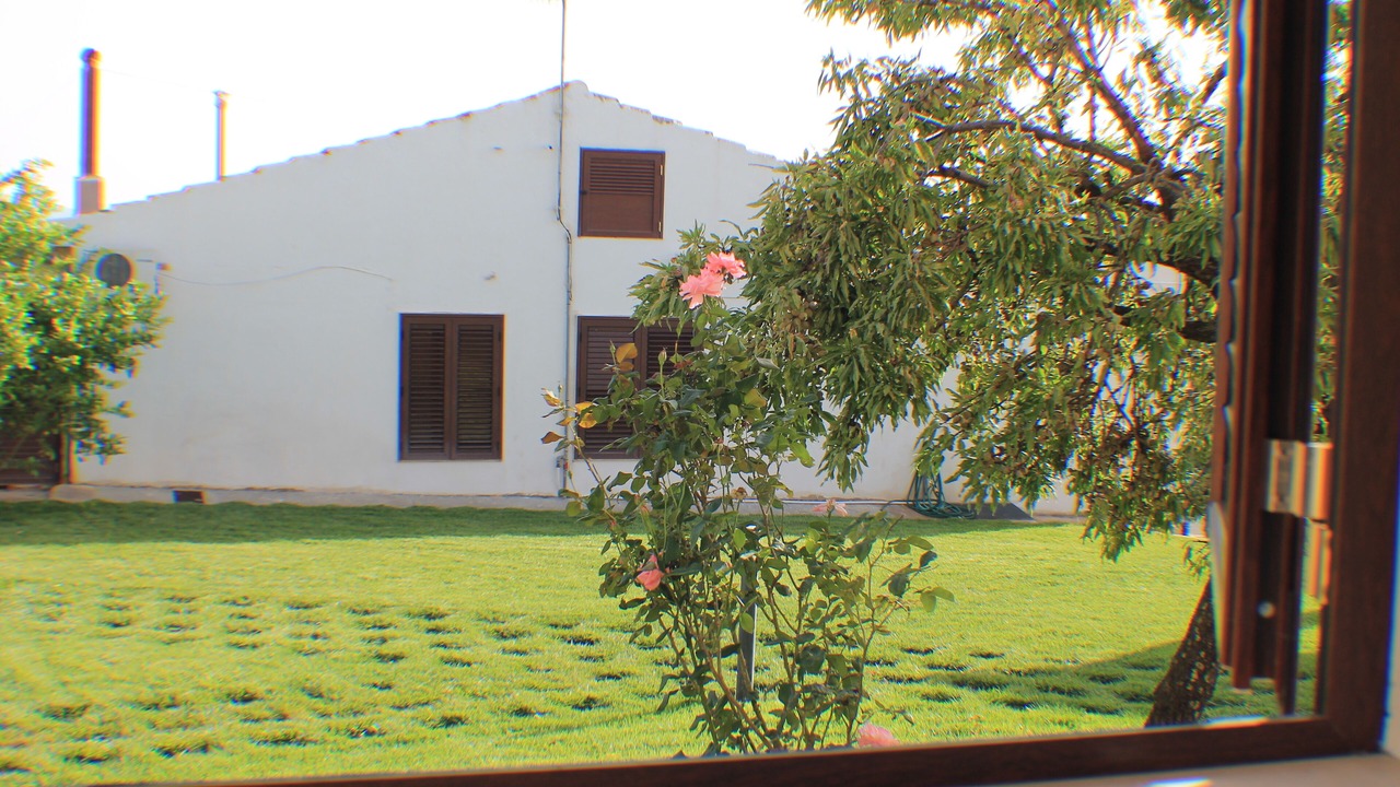 Photo of Outdoor in Casa Papa