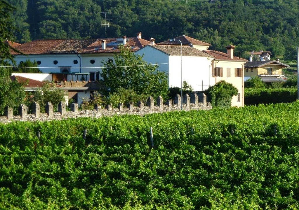 Photo of Outdoor in Albana