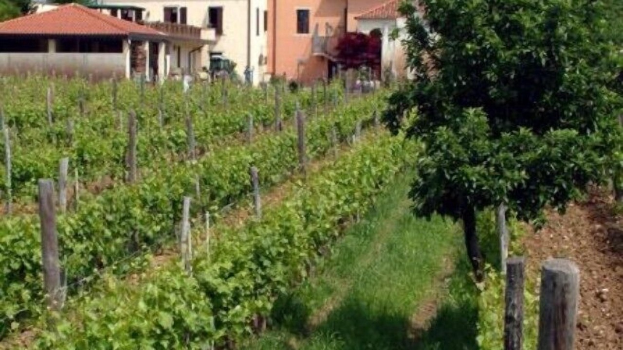 Photo of Outdoor in Albana