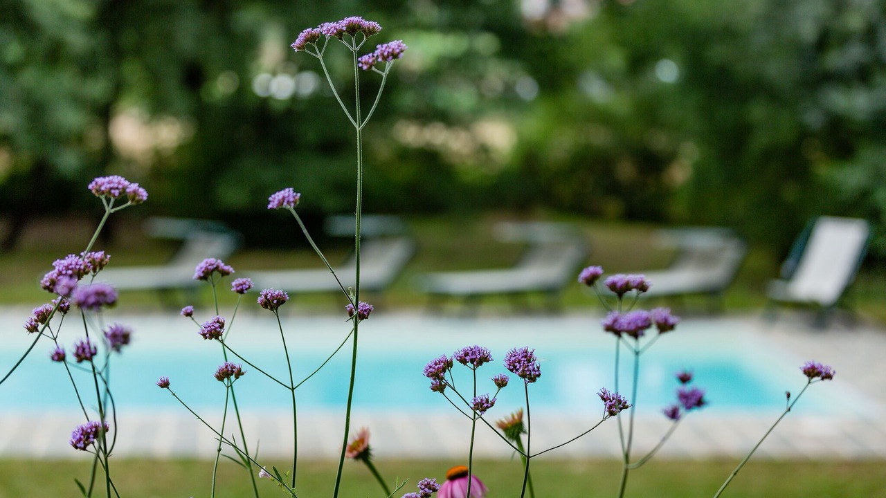 Photo of Outdoor in Marciano della Chiana