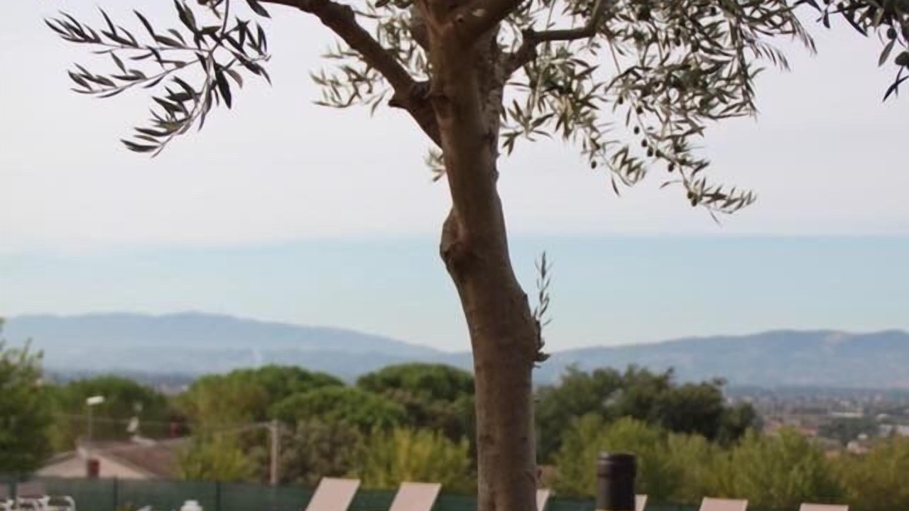 Photo of Patio Balcony in Casenuove