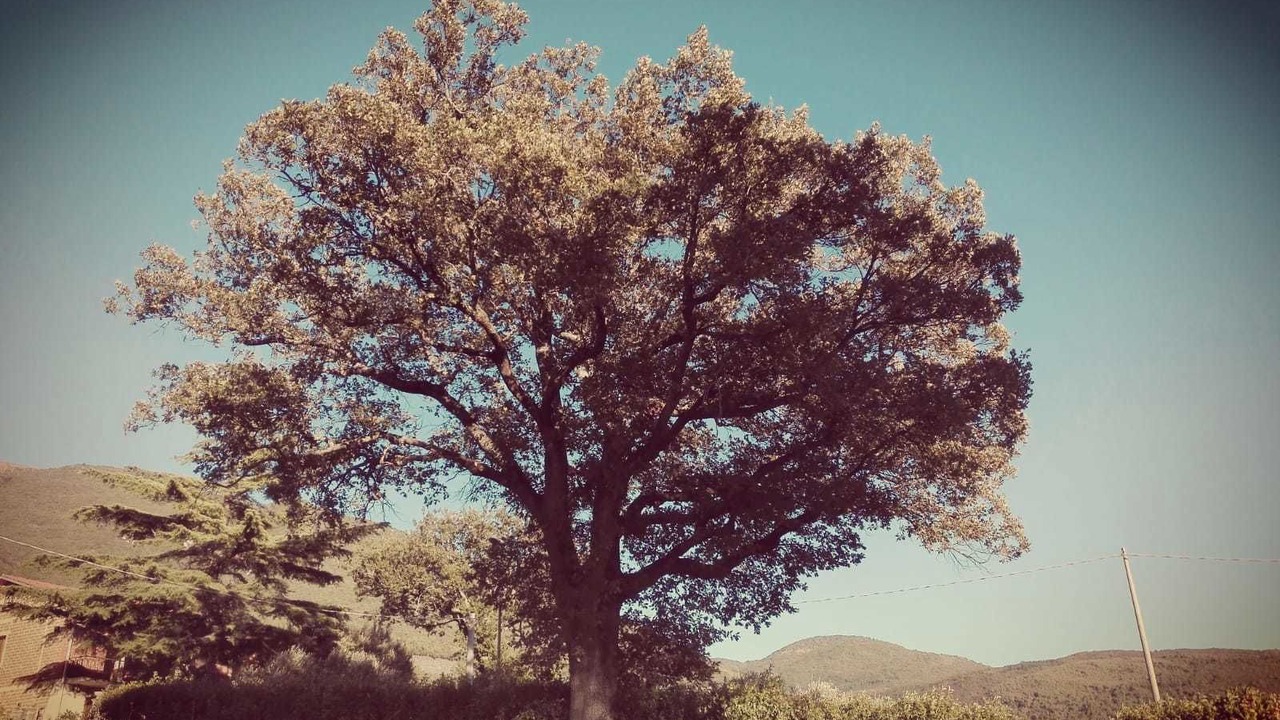 Photo of Outdoor in Casenuove