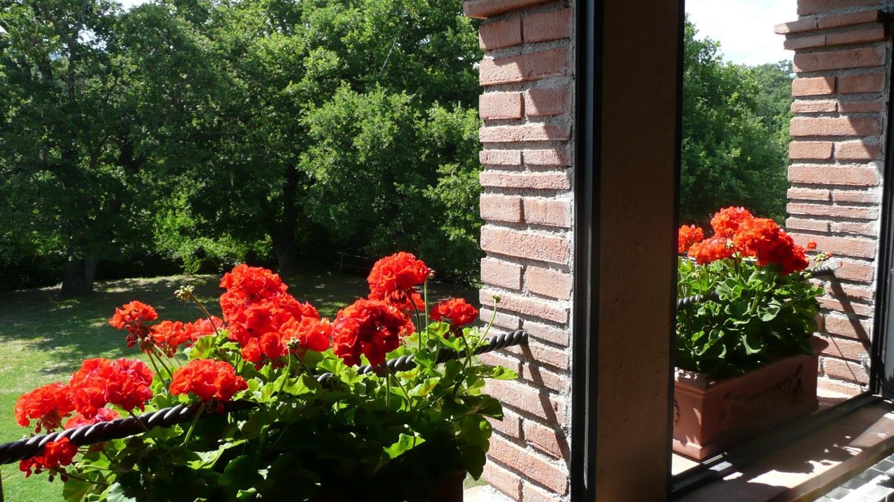 Photo of Outdoor in Montieri